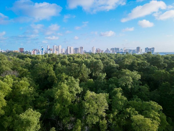 Différence erp crm: comprendre les clés de chaque système